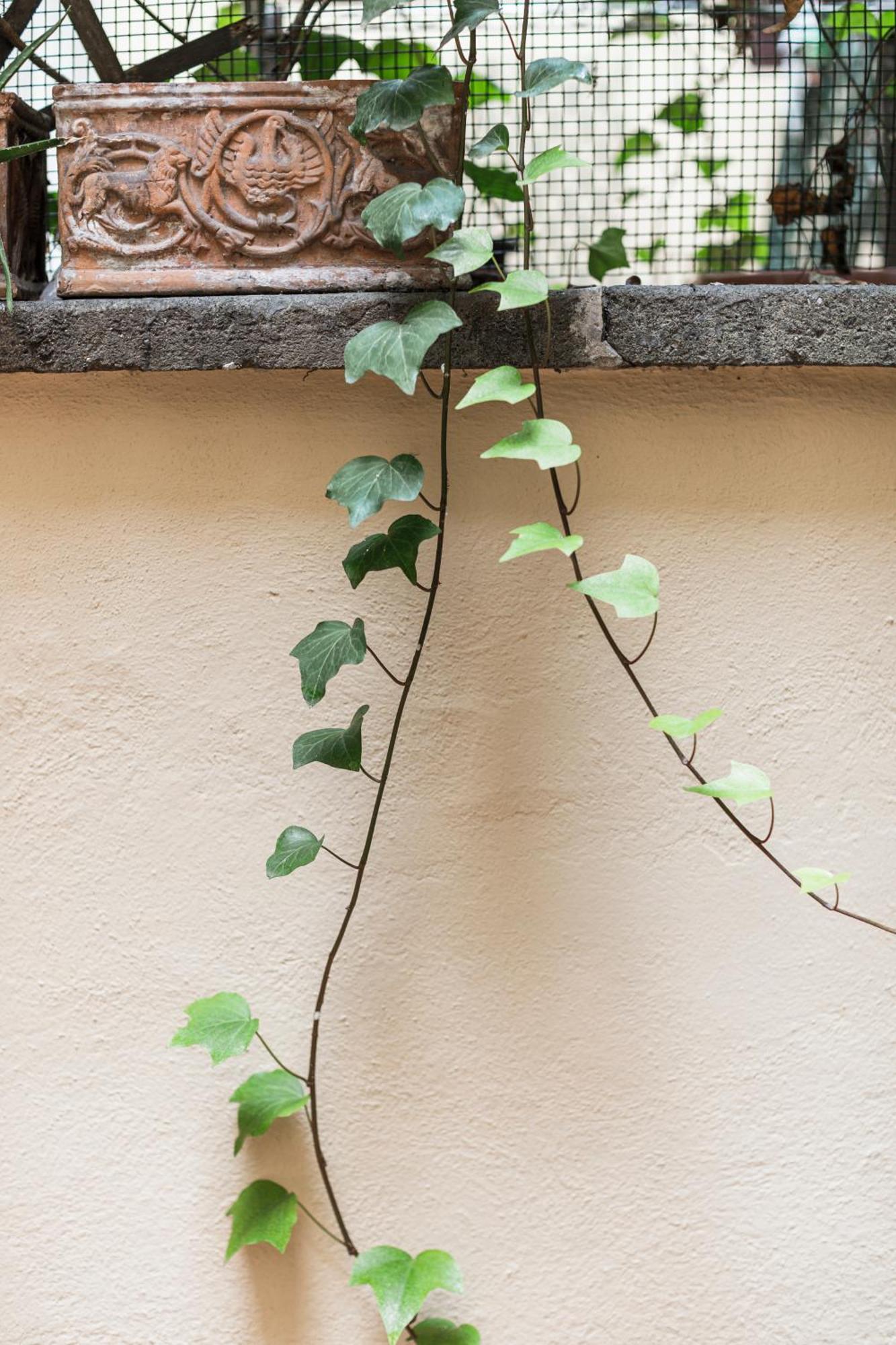 Ferienwohnung San Pietro Garden House Rom Exterior foto
